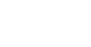 flagler trimlight logo pic resized 2